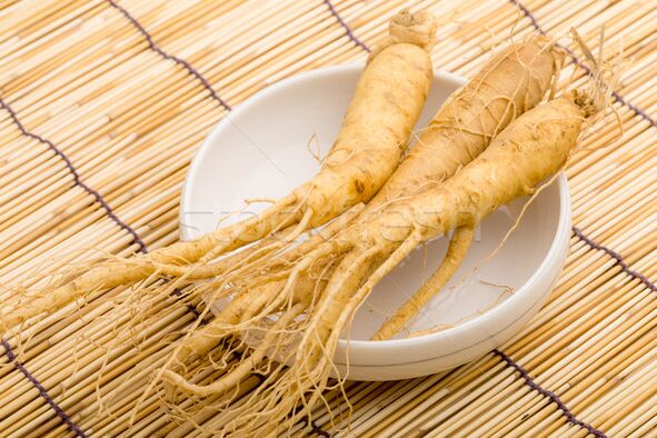 The best stimulant of potency is ginseng root